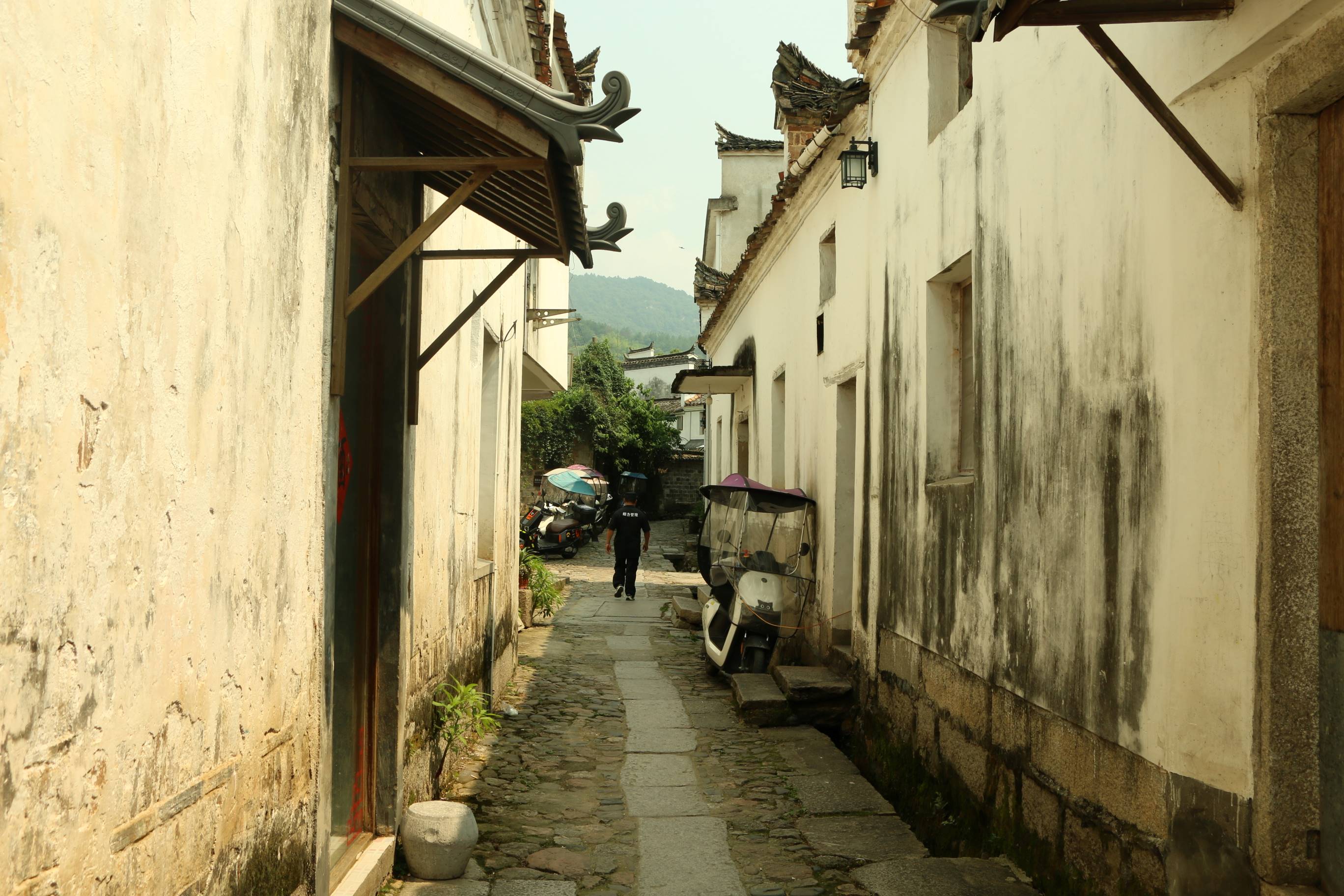 视觉田野